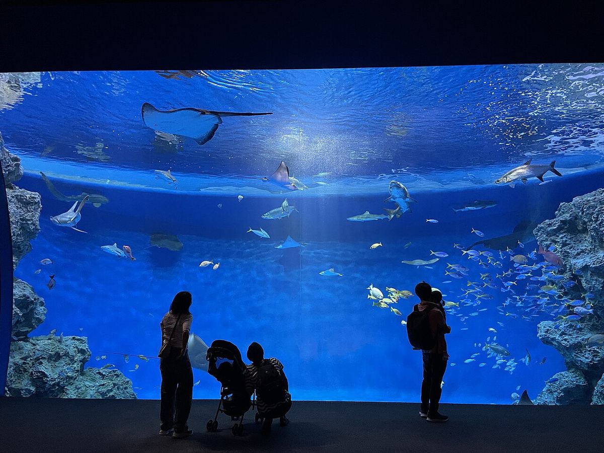 神戶須磨海洋世界トロピカルライフ大水槽,昏暗的展示廳裡一整面藍色水槽,魟魚、鯊魚與成群的小魚游過,前方幾名遊客與一台嬰兒車的剪影