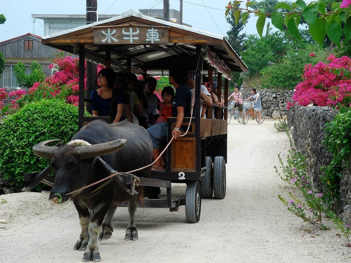 A water-buffalo cart passing through the red-tiled village of Taketomi