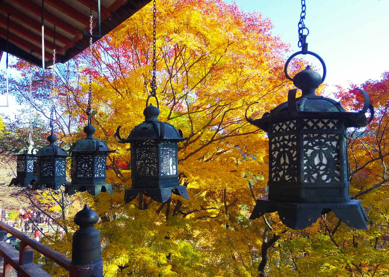 談山神社紅葉見頃，境內楓樹轉紅、十三重塔掩映在紅葉之間