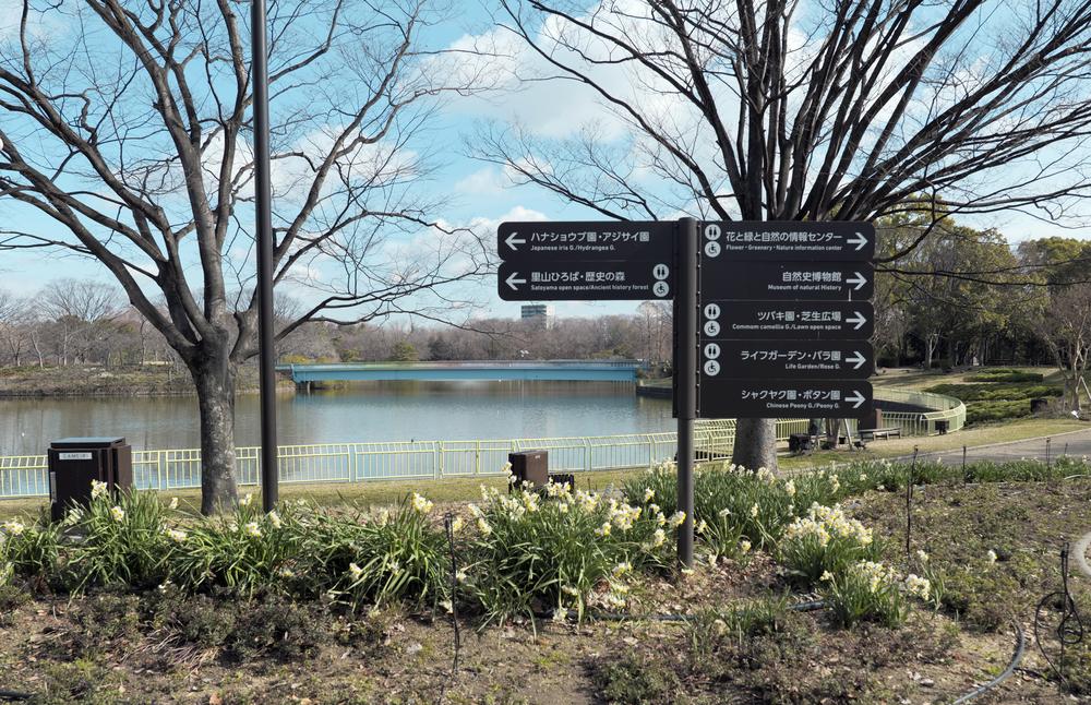 長居植物園大池邊的深咖啡色指標:左邊兩塊指向花菖蒲園・繡球花園與里山廣場・歷史之森,右邊五塊由上到下指向「花と緑と自然の情報センター」、自然史博物館、山茶花園・草坪廣場、生活花園・玫瑰園、芍藥・牡丹園;後方是大池與一座淺藍色長橋,前景是一叢白色水仙,樹都還沒長葉
