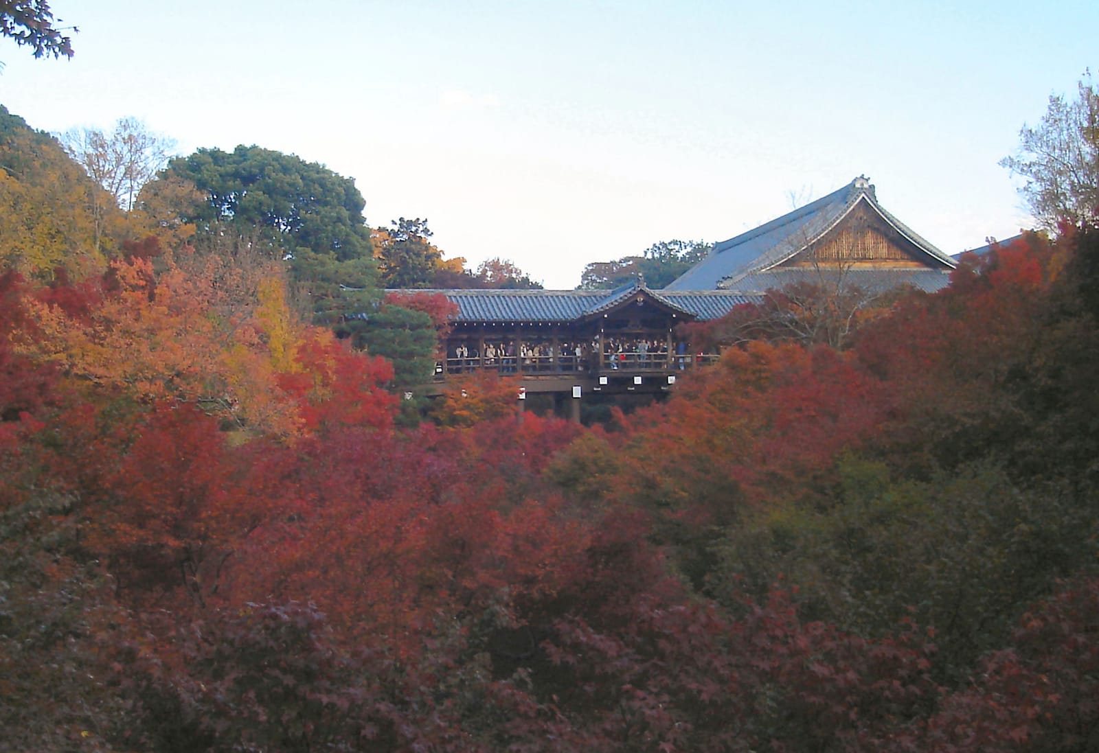 東福寺通天橋俯瞰滿谷紅楓，京都最具代表性的賞楓構圖