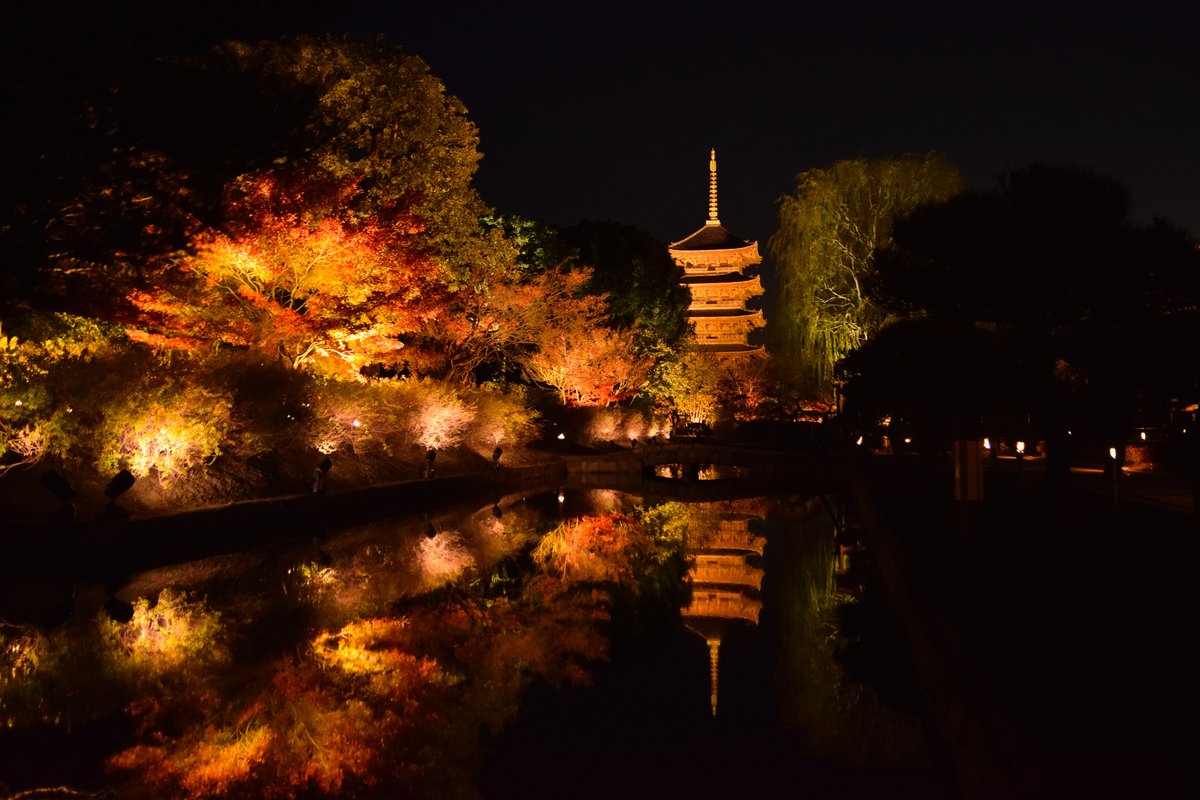 To-ji night illumination: the five-storied pagoda and lit autumn maples by the pond, the pagoda reflected in the water