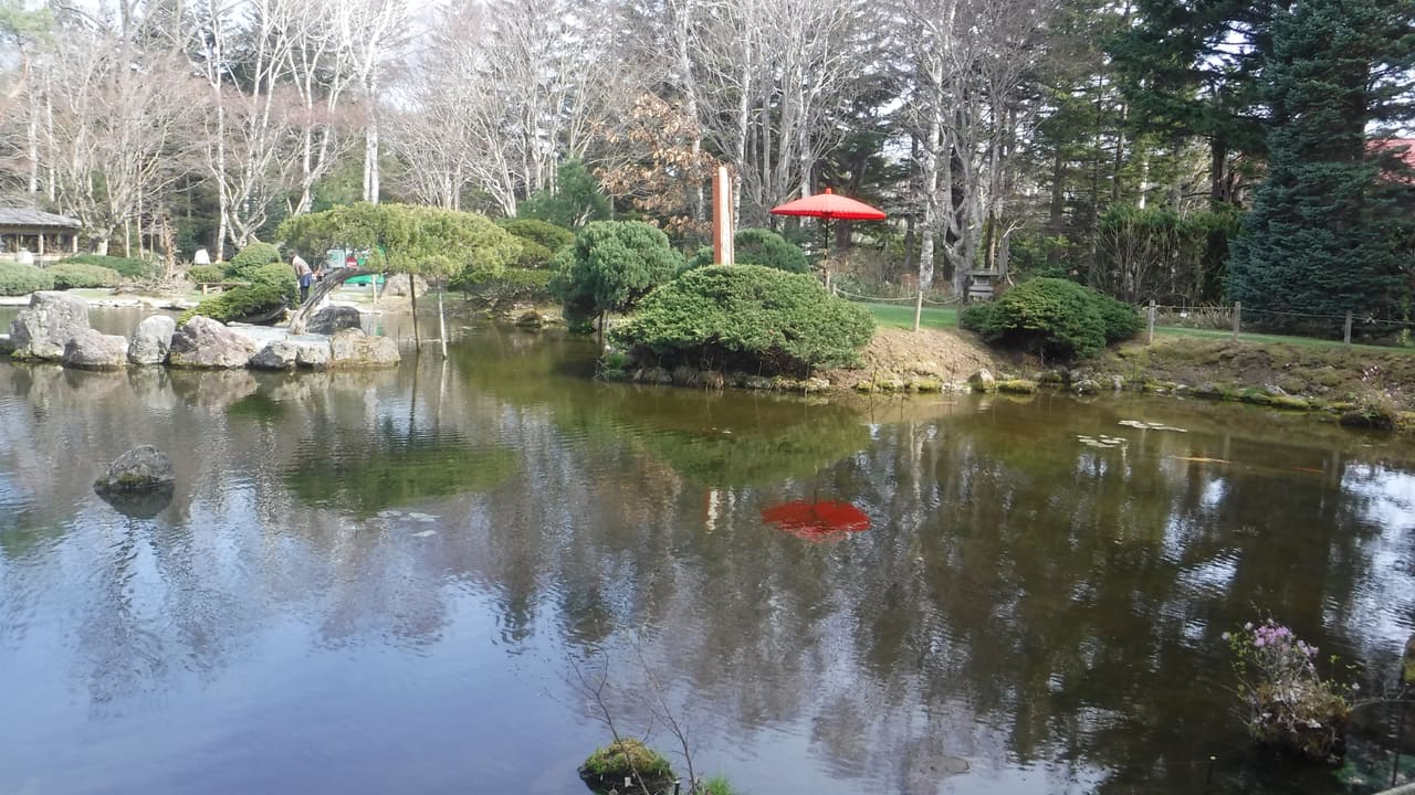 帶廣真鍋庭園的針葉樹迴遊式庭園與綠意造景