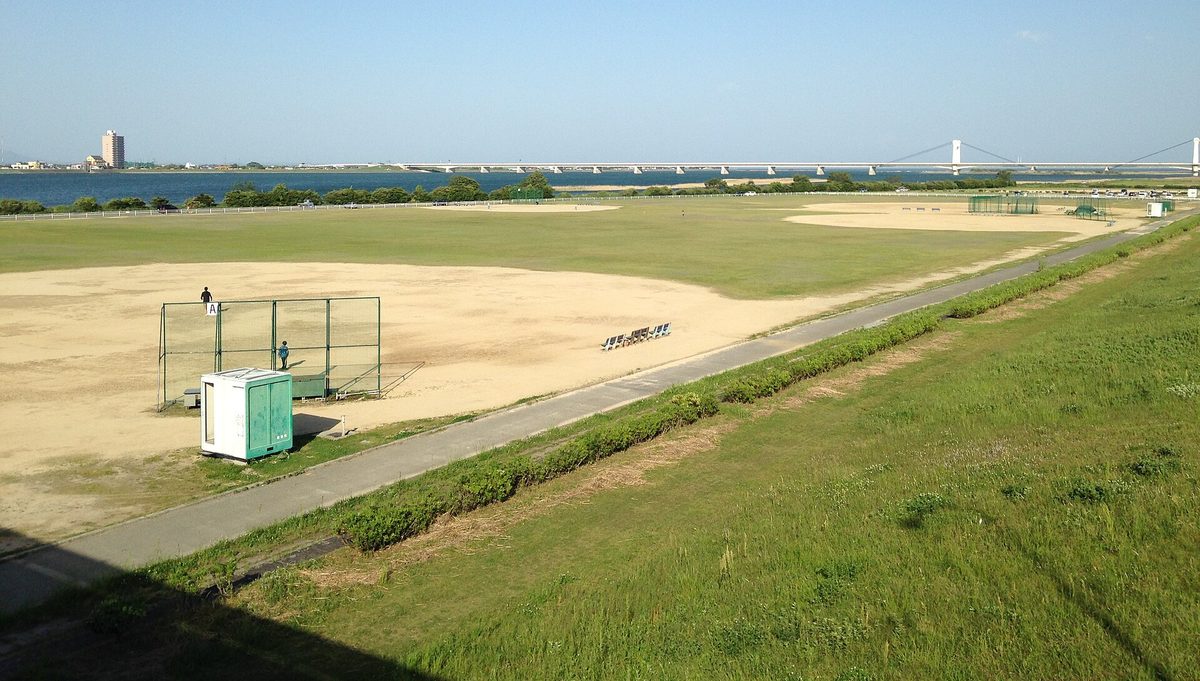從吉野川大橋往下游看:前景是南岸河川敷的草地棒球場與一條步道,左邊是寬闊的河面,地平線上一座白色長橋橫過河口方向,橋中段立著兩座白色橋塔
