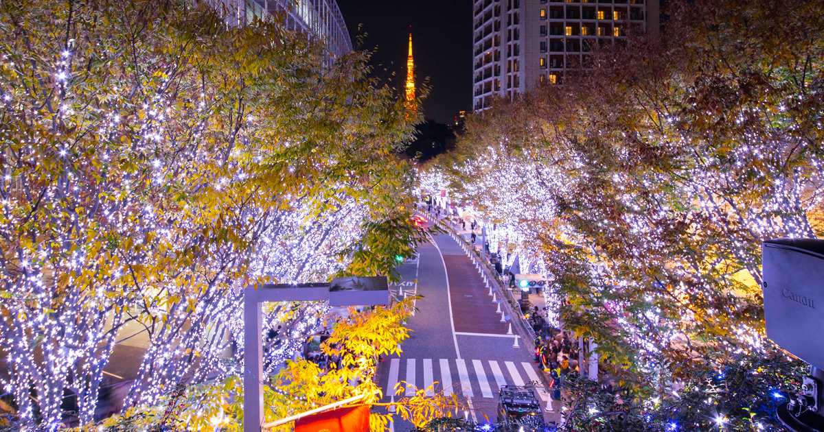 Roppongi Keyakizaka illumination framed with Tokyo Tower on a winter night