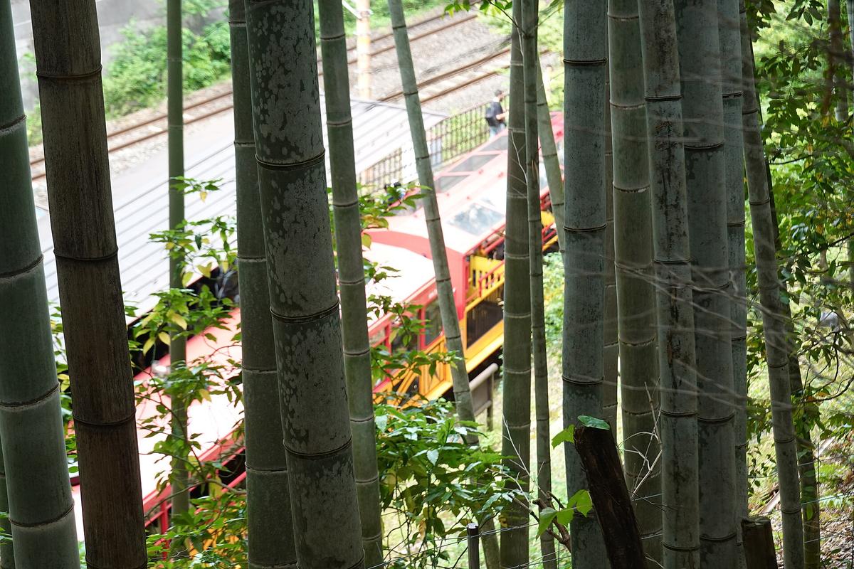 2024 年 5 月從竹林的竹幹之間往下看：紅黃兩色的嵯峨野小火車停在小火車嵐山站，看得到車頂與月台的屋頂，後方是 JR 的軌道
