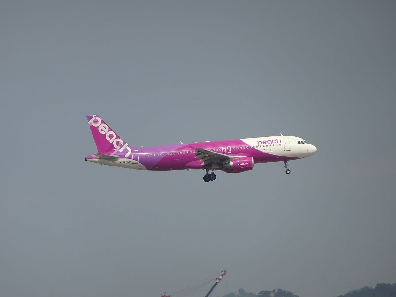 Peach 樂桃航空空中巴士客機：東京到札幌、沖繩等只能飛的路線靠廉航壓低票價