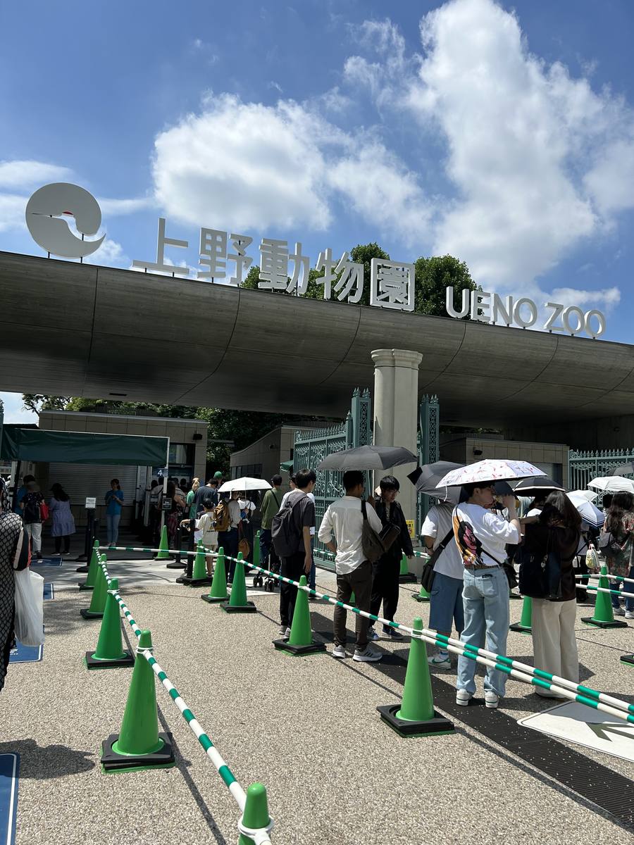 Ueno Zoo main gate seen from outside: white three-dimensional lettering reading 上野動物園 UENO ZOO on a concrete beam, a circular logo of a white bird at the left end, teal wrought-iron gates beneath, and a queue lane of green traffic cones and green-and-white chain with visitors waiting under parasols