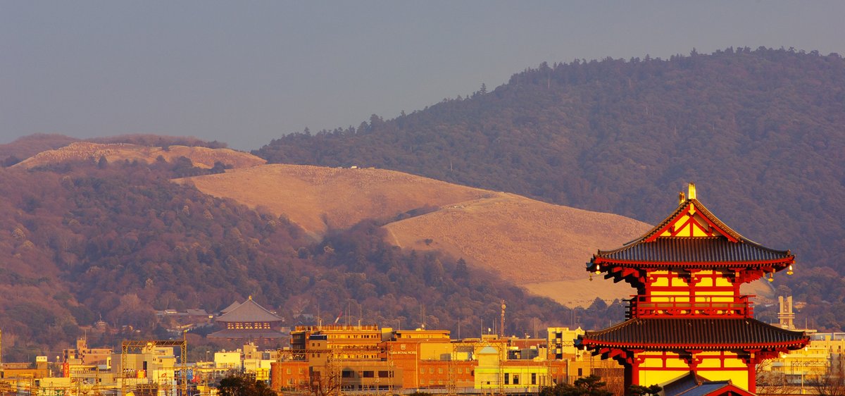 燒山當天傍晚遠望若草山：夕陽照在枯黃的草坡上，左側是更高的覆林山稜，前景是奈良市區建築、東大寺大佛殿的屋頂與紅色的平城宮跡朱雀門
