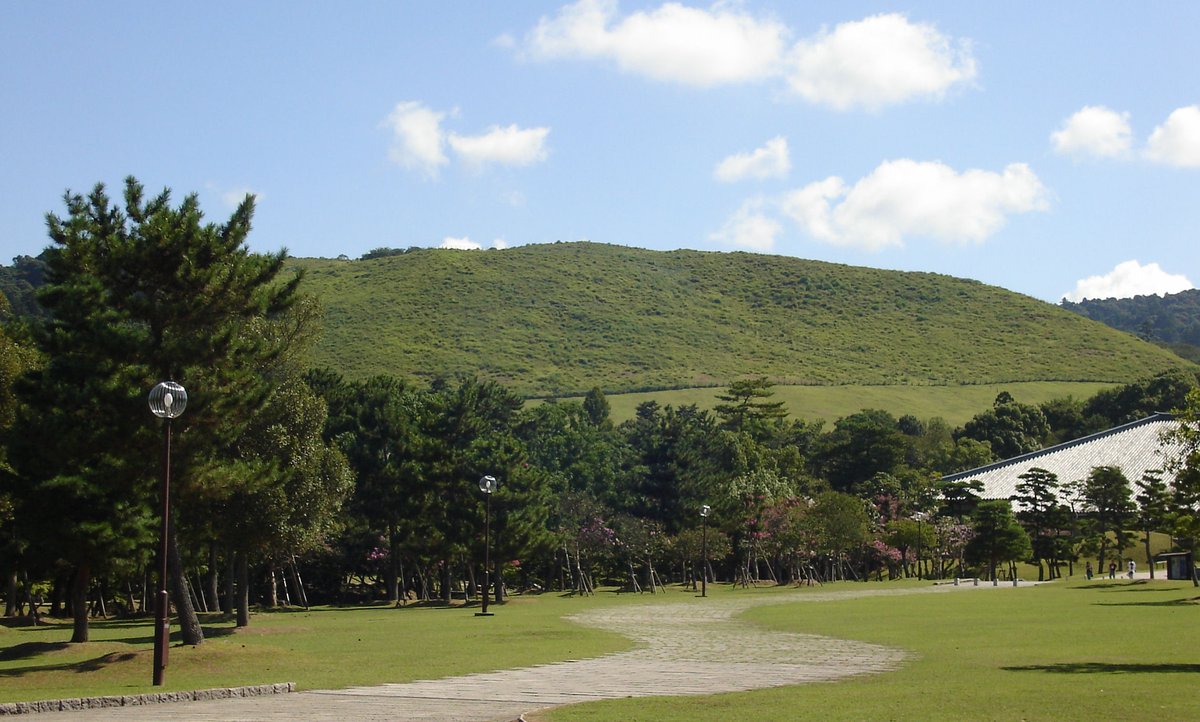 從奈良公園的草地看若草山：山頂一整片沒有樹的綠色草坡，前景是松樹、路燈與彎曲的石板步道，右側露出一棟大型寺院建築的屋頂
