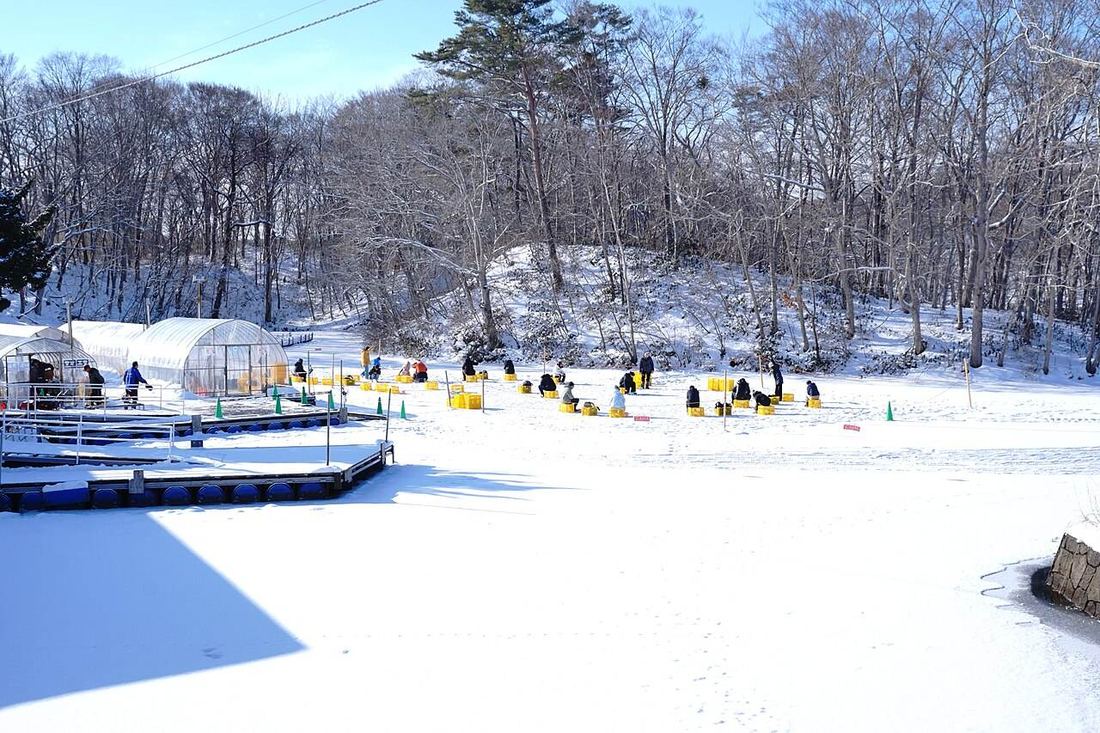 A snow-covered frozen lake with a dozen or so people sitting on yellow crates, spread out and fishing; a line of green traffic cones and two red-and-white signboards mark off the permitted area, a floating pontoon is frozen in at the left beside arched shelters on the shore, and snowy bare woodland rises behind