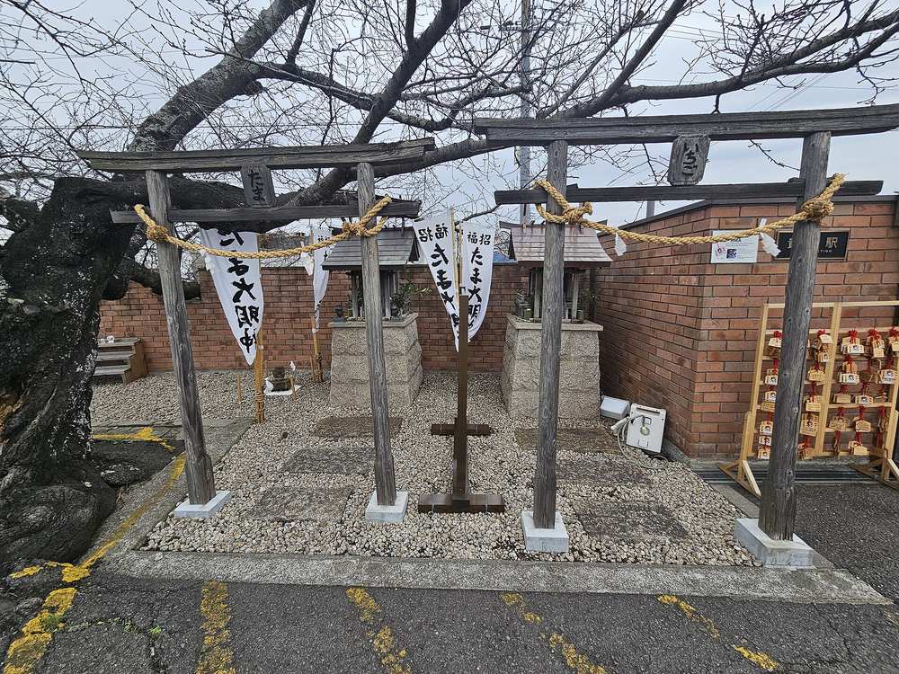 貴志站月台旁、紅磚牆前的兩座小神社:左邊木鳥居掛著「たま」木牌,後面的小祠前插著白色「招福 たま大明神」幟旗;右邊鳥居掛「いちご」木牌,是いちご神社;兩座鳥居都繫著草繩,地上鋪白碎石,右側木架上掛滿畫著三毛貓的繪馬,左邊是一棵冬天沒葉子的大樹