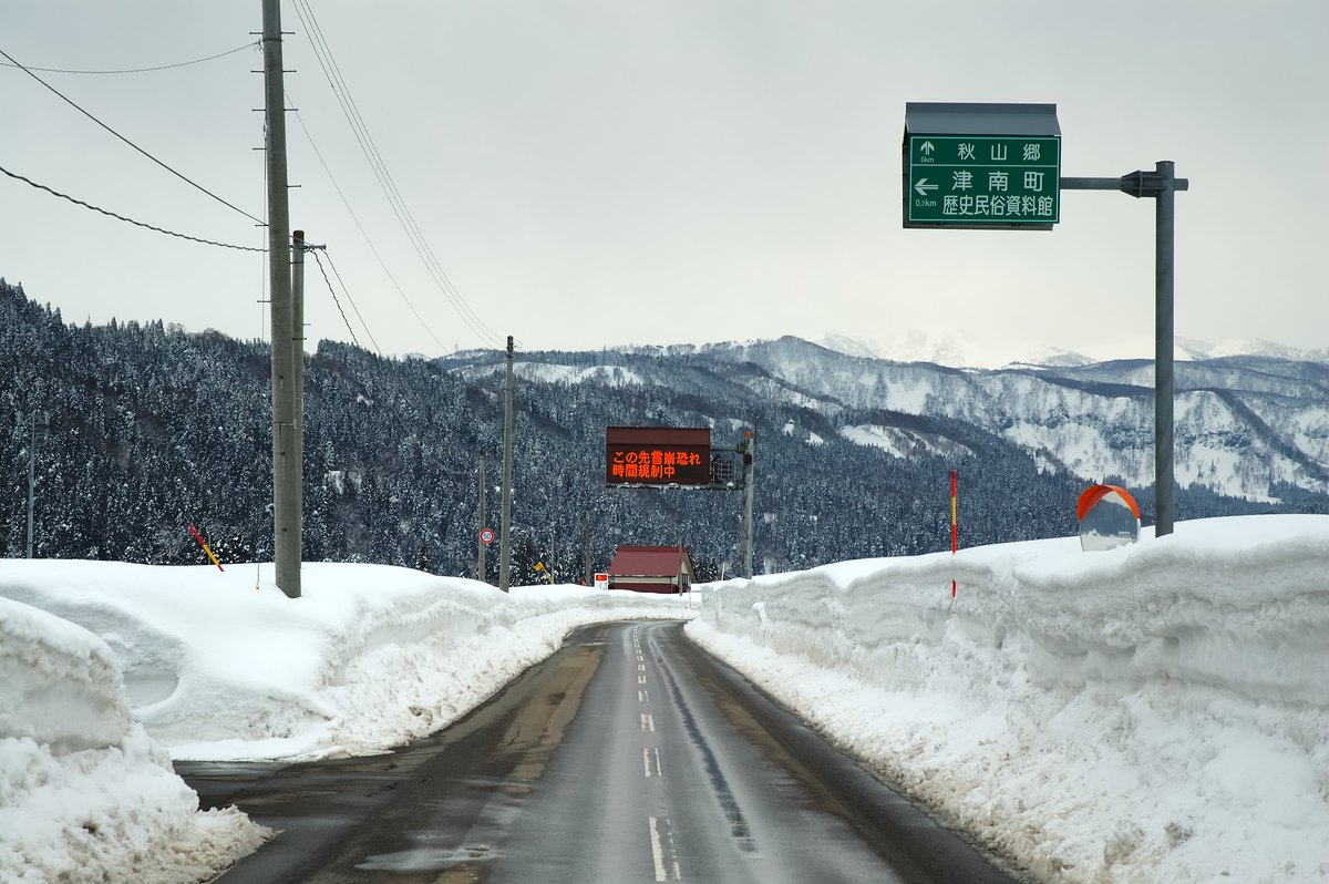 A mountain road toward Akiyama-go in Niigata, walled in by shoulder-high plowed snow banks that narrow it to a single lane, with an electronic sign ahead flashing a red avalanche-risk restriction notice