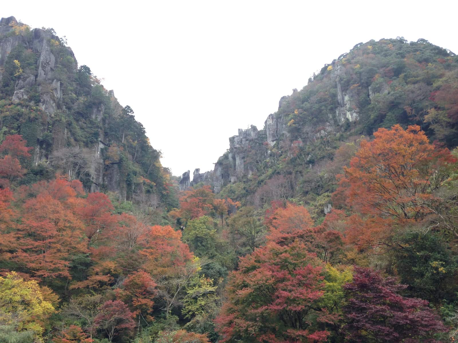 深耶馬溪一目八景展望台望出去的奇岩群,左起鶴ノ巣山、夫婦岩、群猿山等柱狀岩峰環繞山谷