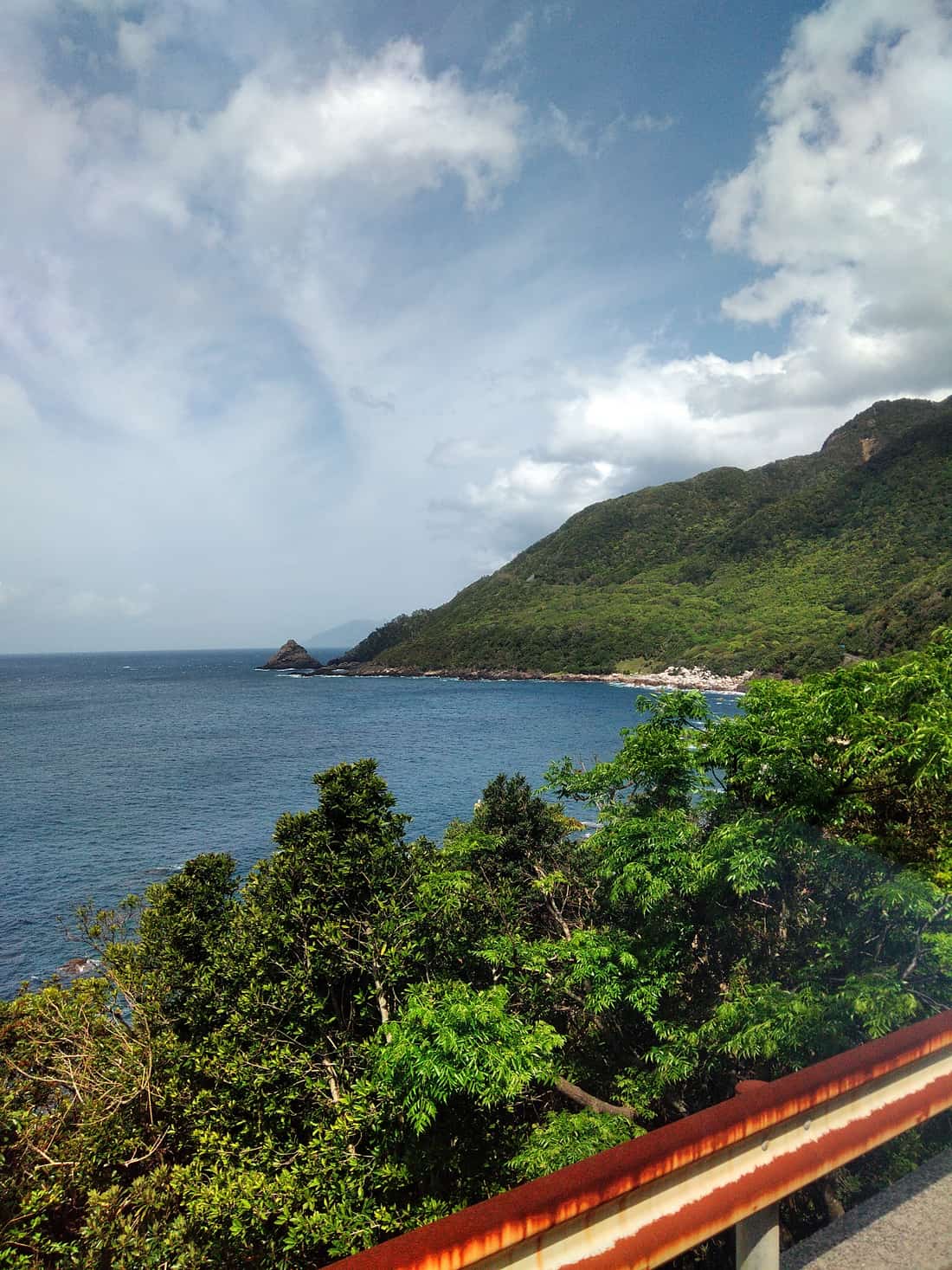 屋久島多岩石的海岸線與森林