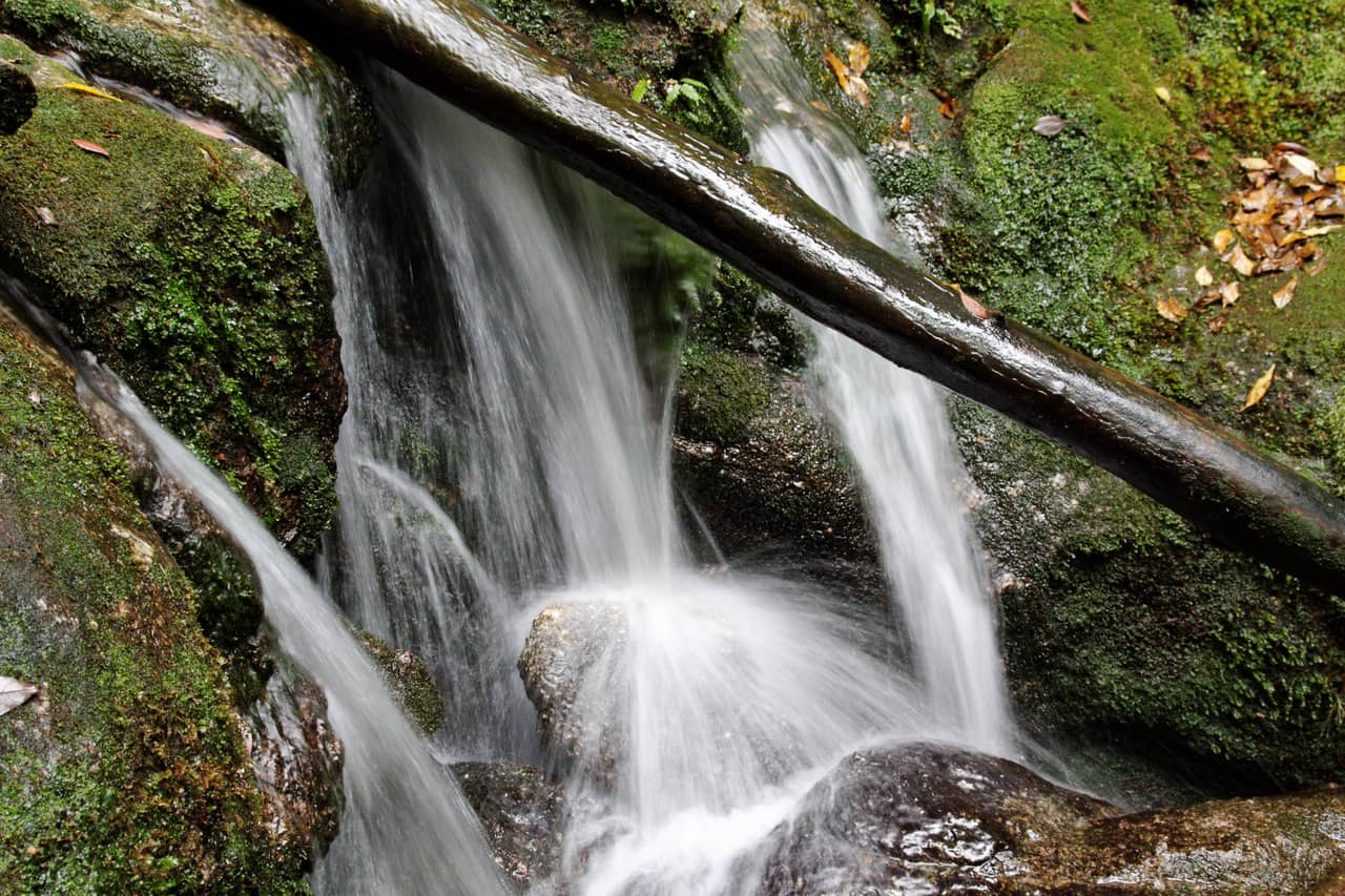 白谷雲水峽覆滿青苔的森林與溪流