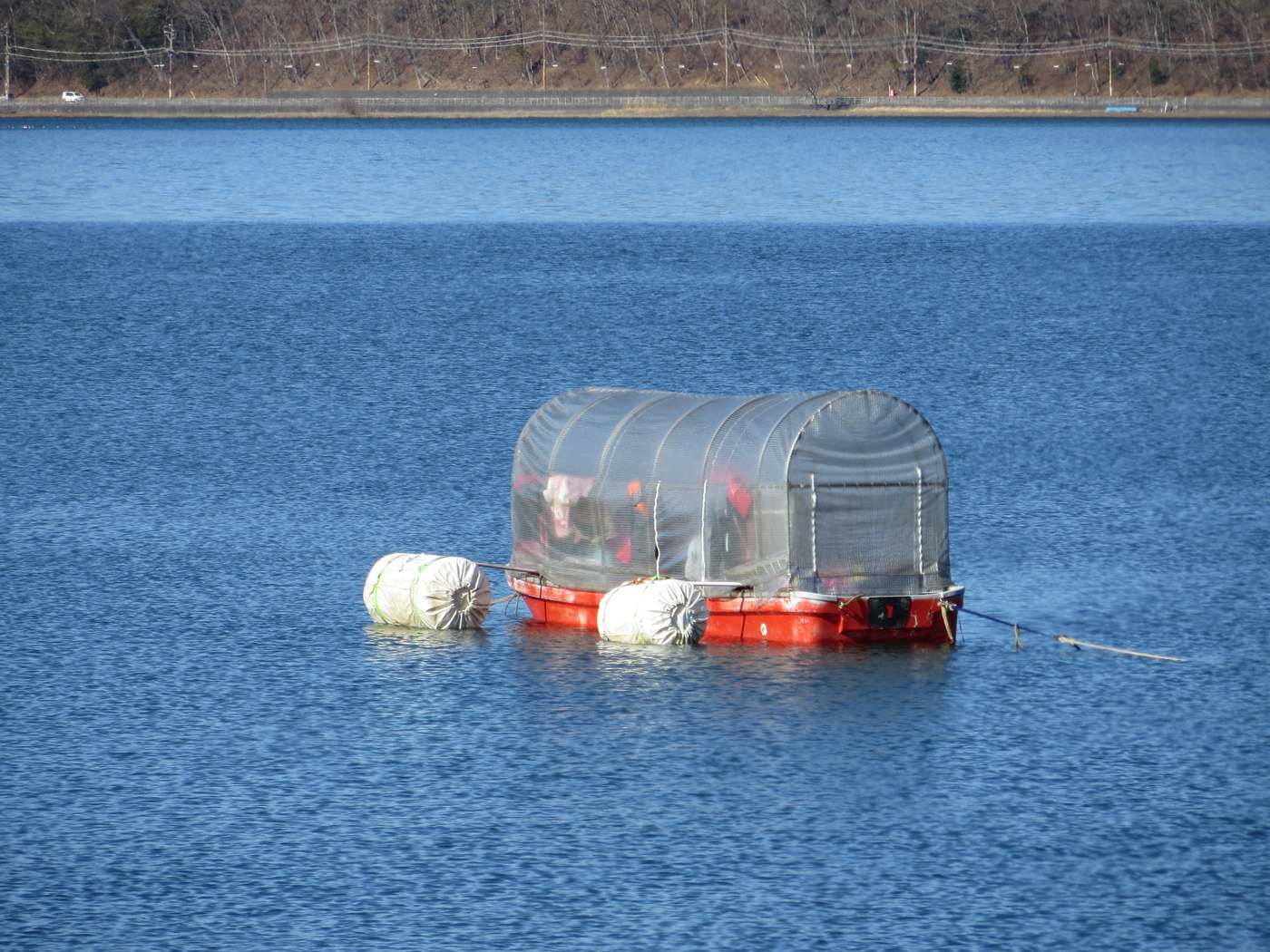 An orange-red flat-bottomed barge moored on open blue water, carrying a barrel-vaulted clear plastic canopy with people faintly visible inside; two white cloth-wrapped cylindrical floats sit alongside, and a road with power lines runs along the far shore