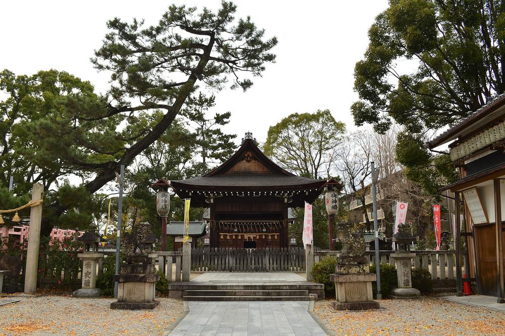 與杼神社境內正面:石板參道通往木造拜殿,兩側一對石燈籠與狛犬,拜殿前掛著「御神燈」燈籠與粉紅色「お宮参り」旗,左邊一棵大松樹斜伸,地上落著黃色銀杏葉