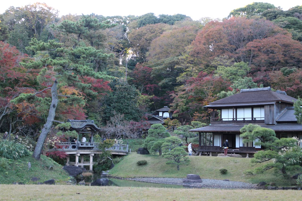 橫濱三溪園的池泉與遠方的三重塔