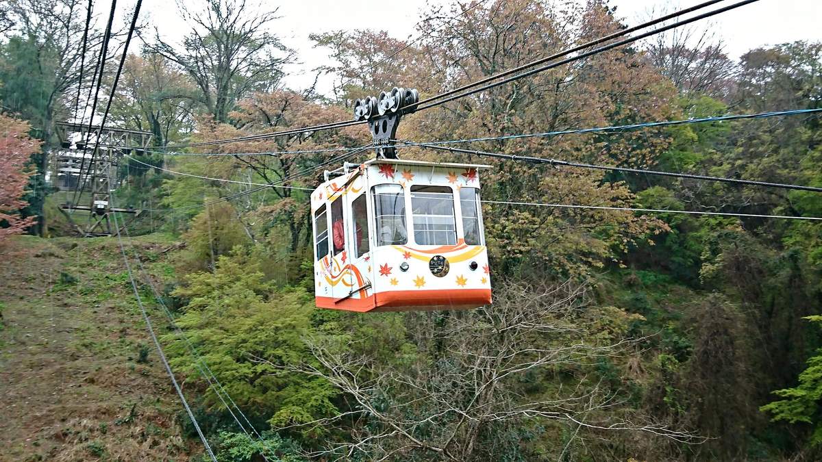 吉野纜車的車廂懸在鋼索上:白色車身、橘色車底,畫著紅色與黃色的楓葉圖案,背後是山坡上的雜木林與一座鐵塔