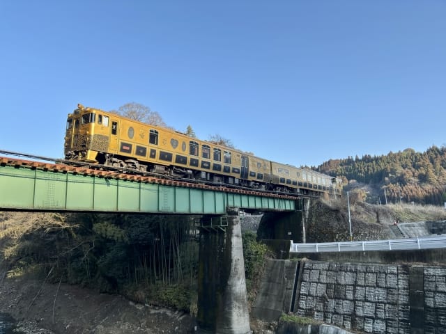 Yufuin no Mori limited express: deep-green wood-grain sightseeing train at the platform